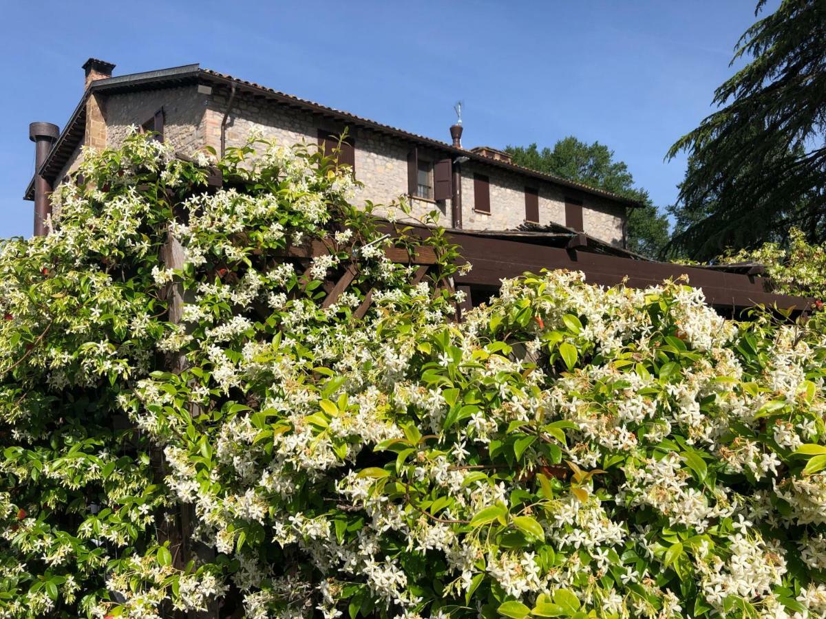 Agriturismo Beata Vanna Villa Fabro Exterior foto